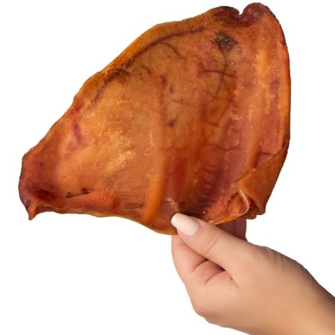 Dogario Bonni Pig's Ear L - duże wieprzowe ucho gryzak dla psa x10 Dogario