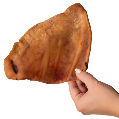 Dogario Bonni Pig's Ear L - duże wieprzowe ucho gryzak dla psa x10 Dogario