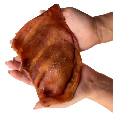 Dogario Bonni Pig's Ear L - duże wieprzowe ucho gryzak dla psa x10 Dogario