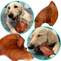 Dogario Bonni Pig's Ear L - duże wieprzowe ucho gryzak dla psa x10 Dogario