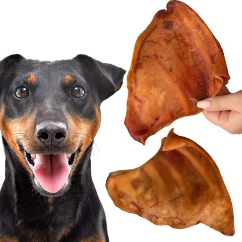 Dogario Bonni Pig's Ear L - duże wieprzowe ucho gryzak dla psa x10 Dogario