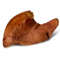 Dogario Bonni Pig's Ear L - duże wieprzowe ucho gryzak dla psa x10 Dogario