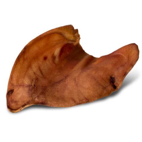 Dogario Bonni Pig's Ear L - duże wieprzowe ucho gryzak dla psa x10 Dogario