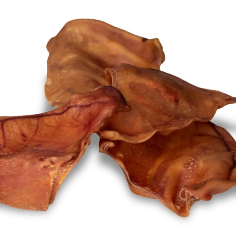 Dogario Bonni Pig's Ear L - duże wieprzowe ucho gryzak dla psa x10 Dogario