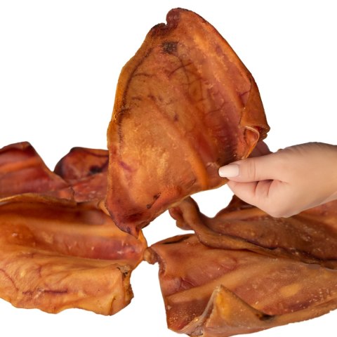 Dogario Bonni Pig's Ear L - duże wieprzowe ucho gryzak dla psa x10 Dogario