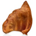 Dogario Bonni Pig's Ear L - duże wieprzowe ucho gryzak dla psa x10 Dogario