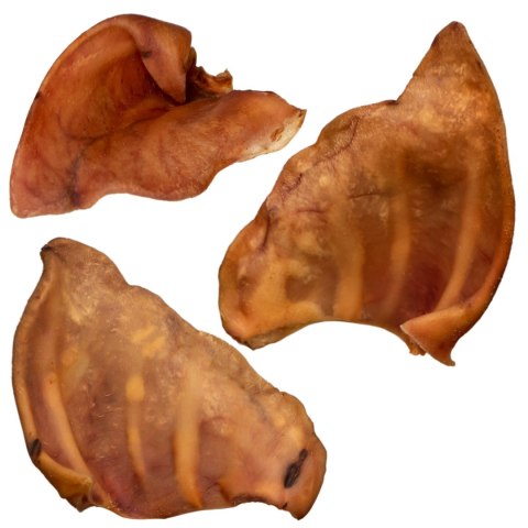 Dogario Bonni Pig's Ear L - duże wieprzowe ucho gryzak dla psa x10 Dogario