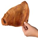 Dogario Bonni Pig's Ear L - duże wieprzowe ucho gryzak dla psa Dogario
