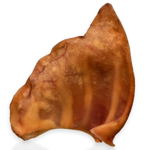Dogario Bonni Pig's Ear L - duże wieprzowe ucho gryzak dla psa Dogario
