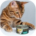 GimCat ShinyCat in Jelly - karma mięsna kurczak i krewetki 70g Gimdog / Gimcat