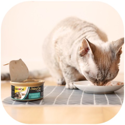 GimCat ShinyCat in Jelly - karma mięsna kurczak i krewetki 70g Gimdog / Gimcat
