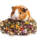 Herbal Pets - Zioła Podstawowe dla Świnki Morskiej 100g Herbal Pets