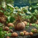 Kruger Meier ProNature Ball 15 - kulki nawozowe z biostymulatorem Kruger Meier