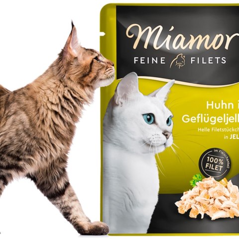 Miamor Filets Huhn in Geflugeljelly - polędwiczka z kurczaka w galarecie drobiowej 100g Miamor