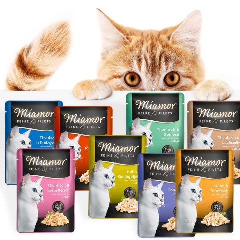 Miamor Filets Thunfisch & Calamari - tuńczyk i kalmary w galarecie 100g Miamor