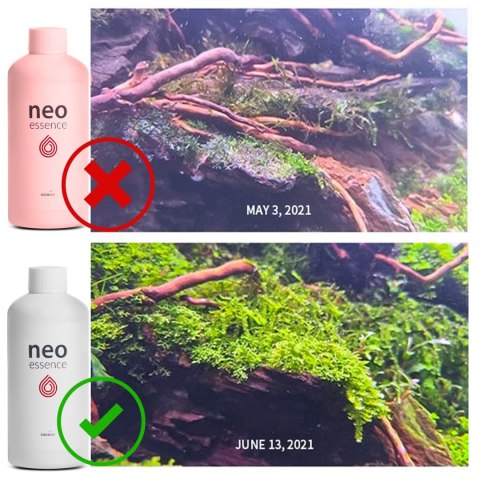 Neo Essence 1000ml - wzrost i wybarwienie roślin NEO MEDIA
